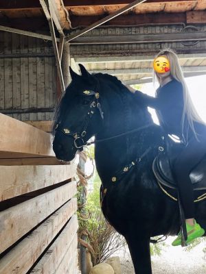 Мария — интим массаж на дому, минет и другие услуги экстра-класса